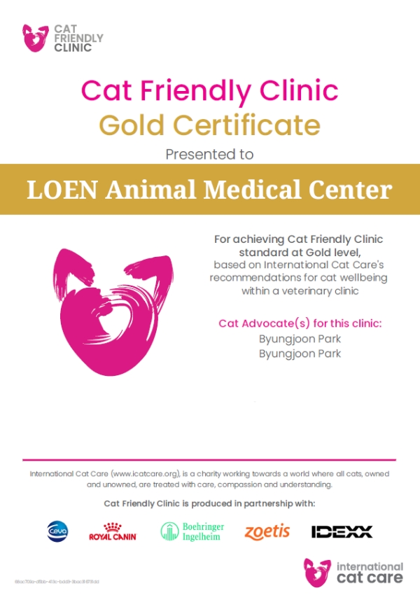 cat friendly clinic gold certificate